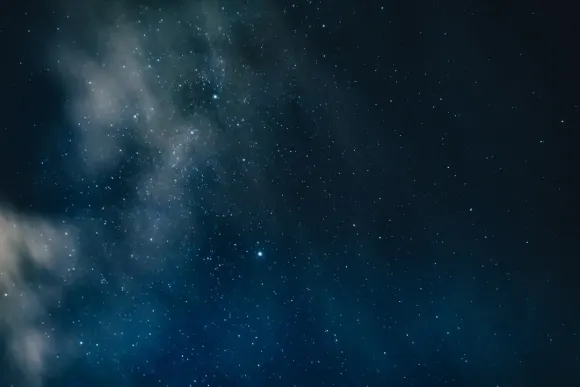 Casino Wicked Jackpots Ondersteuning